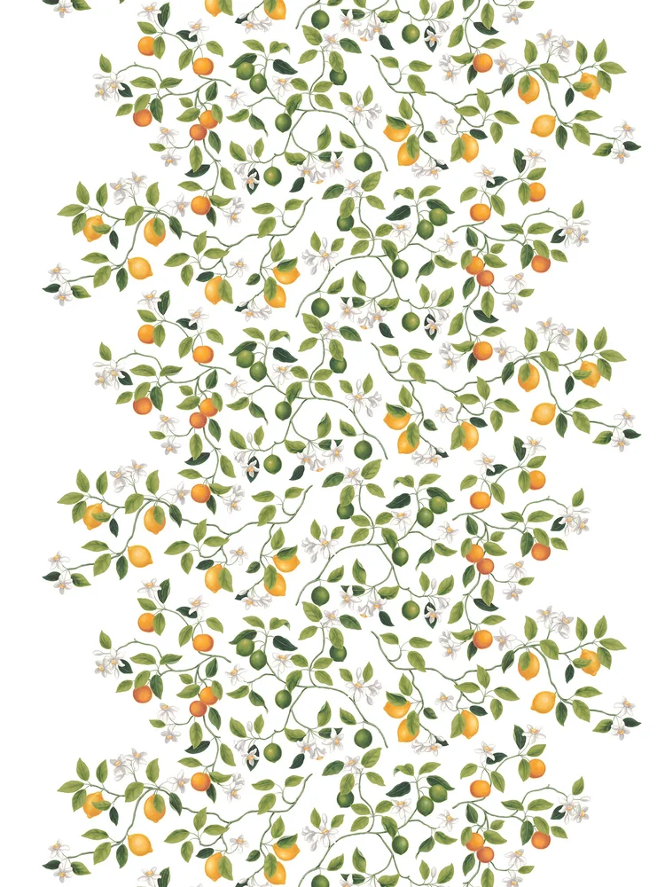 Citrusträdet voksduk v:5181312