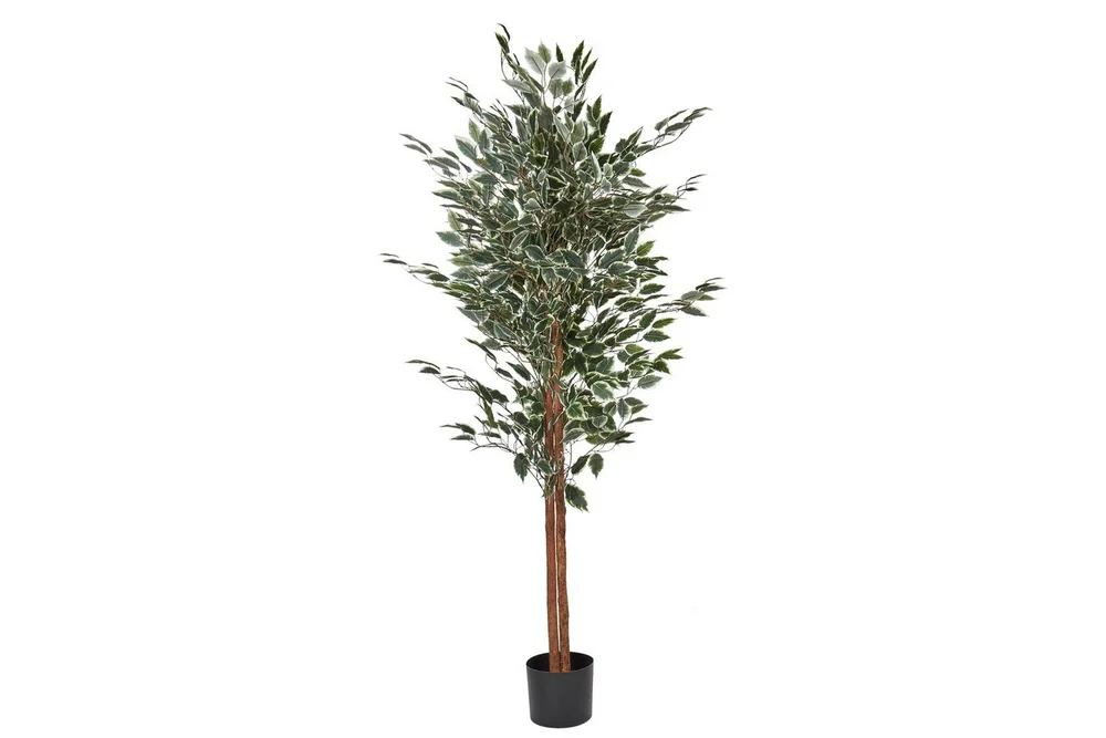 Konstgjord växt Beliani Ficus Green||Black v:9771901