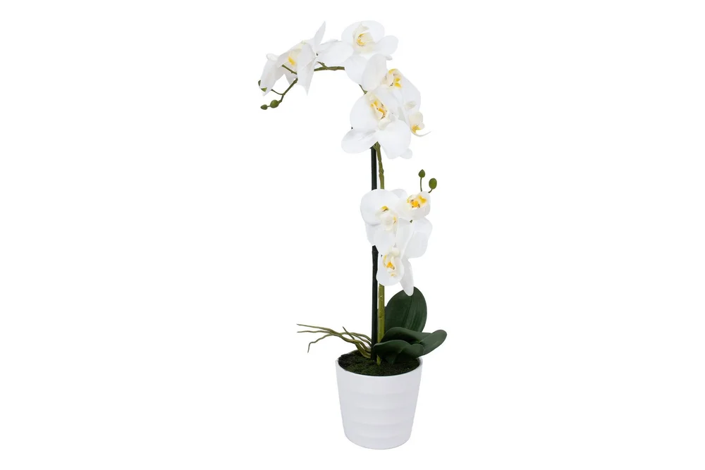 Hvit Orkidea 51 cm på Hvit Krukke v:5851237 Hvit Orkidea 51 cm på Hvit Krukke v:5851237