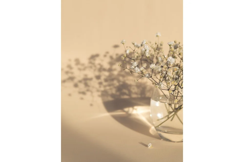 Poster White Flowers 21x30 cm v:7654643