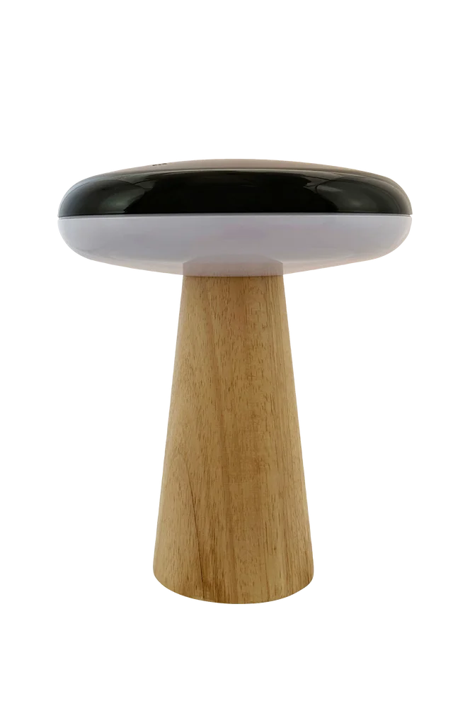 Bordlampe 2 måter – Svart – Belysning | m v:4812016 Bordlampe 2 måter – Svart – Belysning | m v:4812016