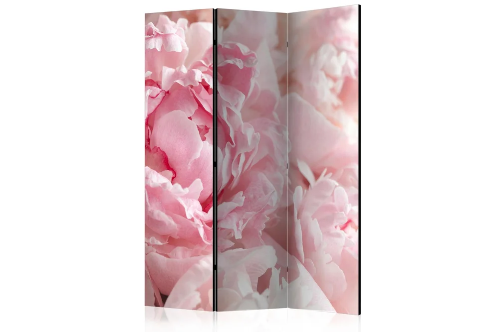 Kadira Rumsavdelare 135x172 cm VALUE_MISSING_1 v:8596042