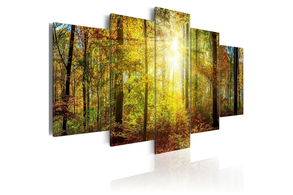 Bilde Mystical Forest 200x100 v:2908259