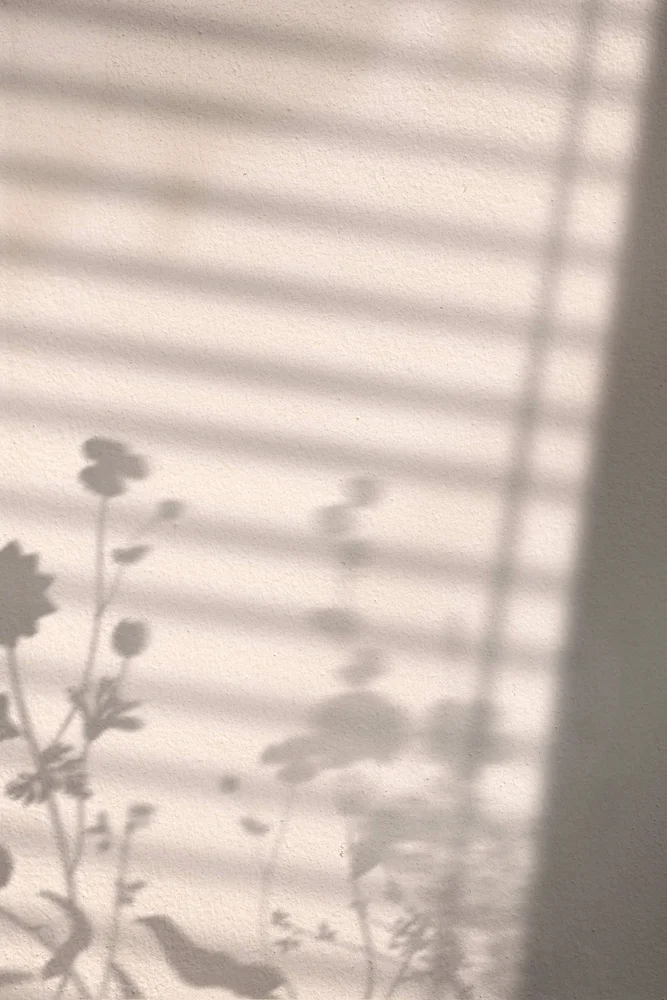 Poster Flower shadow - Hvit - Dekor | m v:7980092