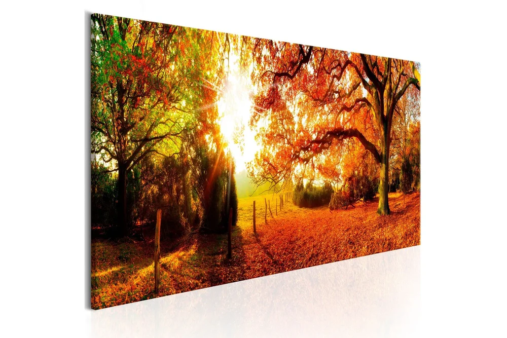 Tavle Magic Of Autumn 135X45 v:1657360