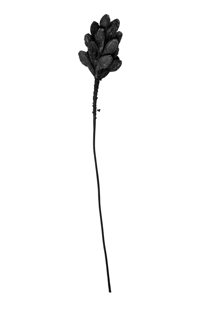 Dekorasjon blomst Vera – Svart – Dekor | m v:3898276 Dekorasjon blomst Vera – Svart – Dekor | m v:3898276