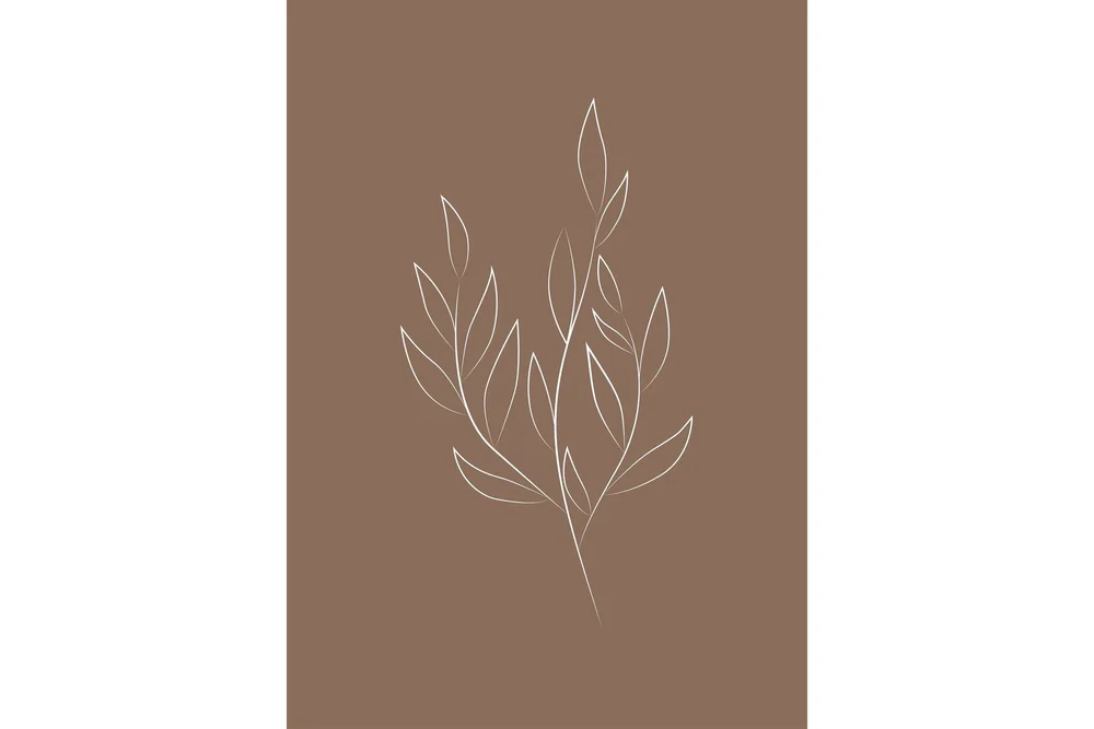 Poster Drawed leaf 50x70 cm v:6363979