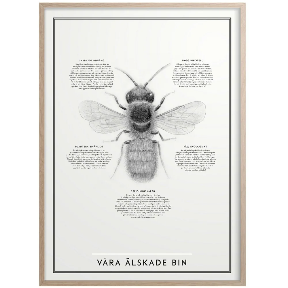 Våra Älskade Bin Plakat 50×70 cm v:4143875 Våra Älskade Bin Plakat 50×70 cm v:4143875