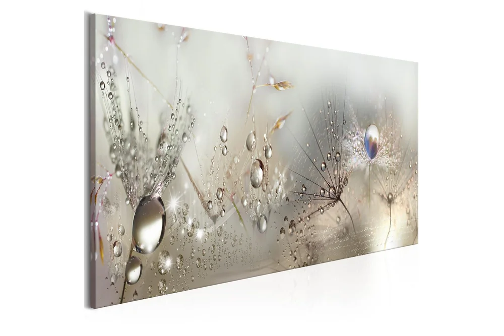 Bilde Morning Song 120x40 v:8368055