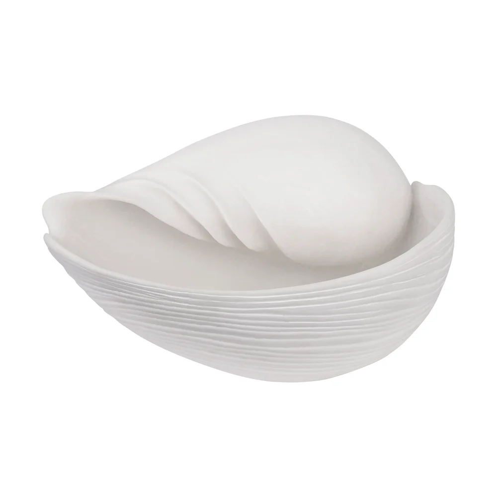 Conch dekorasjon skjell v:9686240
