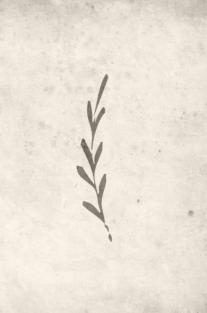 Poster Autumn leaf – Beige – Dekor | m v:678175