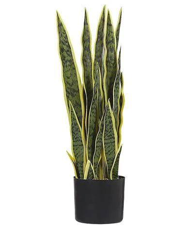 Kunstig plante SNAKE PLANT 63 cm Grønn v:2129392