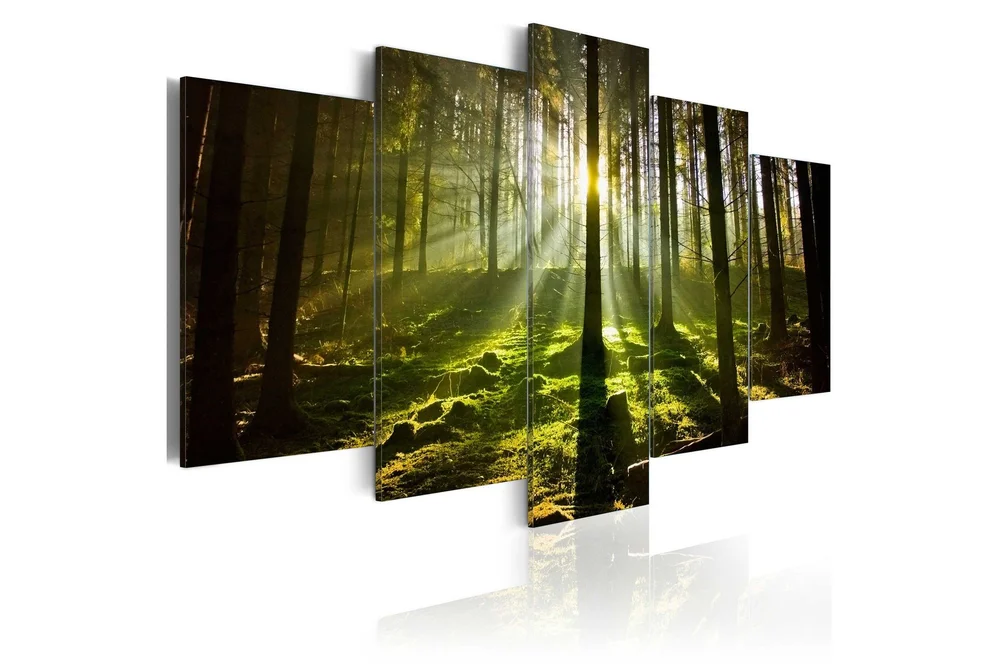 Bilde Spring Silence 100x50 v:1973124