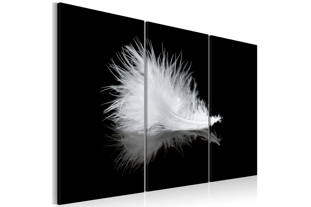 Bilde A Small Feather 60×40 v:5228875 Bilde A Small Feather 60×40 v:5228875