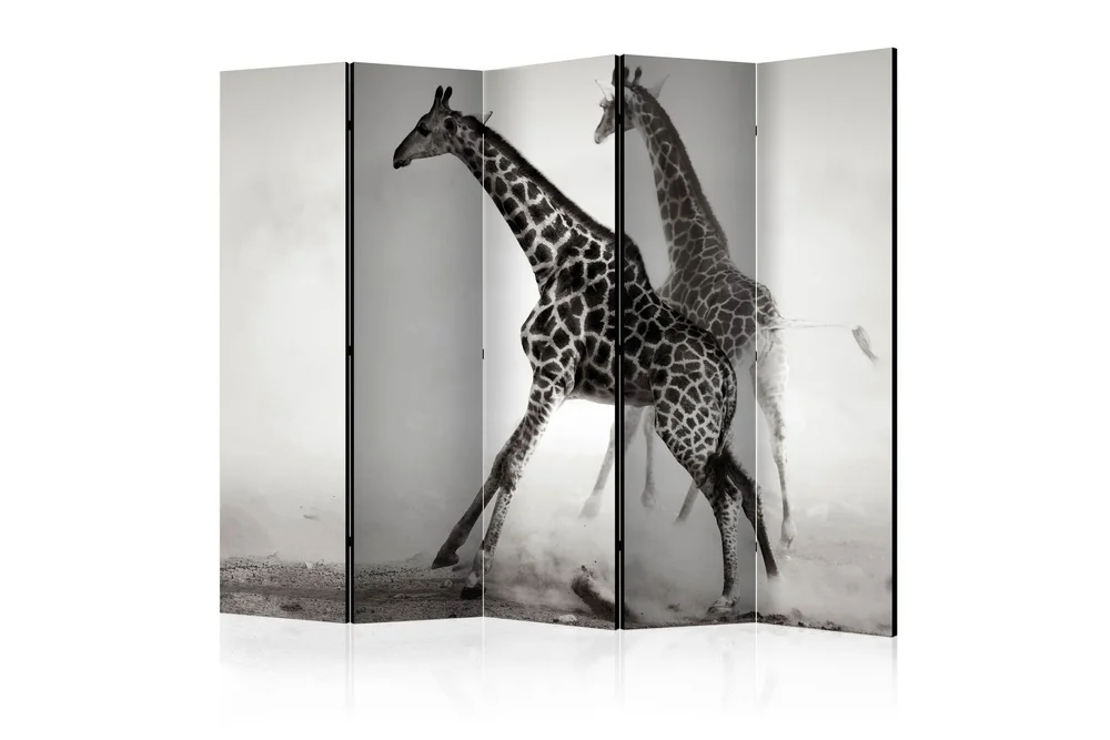 Romdeler - Giraffes II 225x172 v:3489162