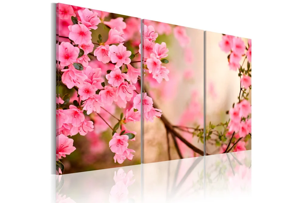 Bilde Cherry Flower 60x40 v:1661745