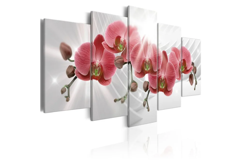 Bilde Abstract Garden Red Orchis 100×50 v:2306495