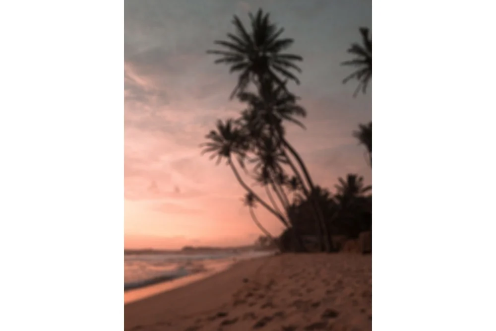 Poster Summer 30x40 cm v:9770499