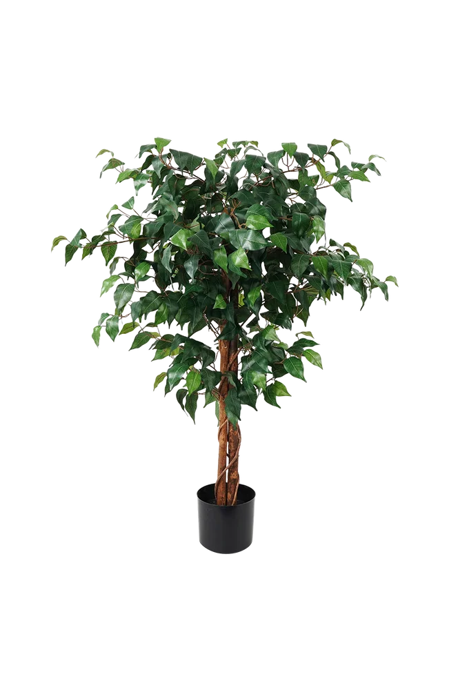 Kunstig plante Fig Ficus - Grønn - Dekor | m v:4664565