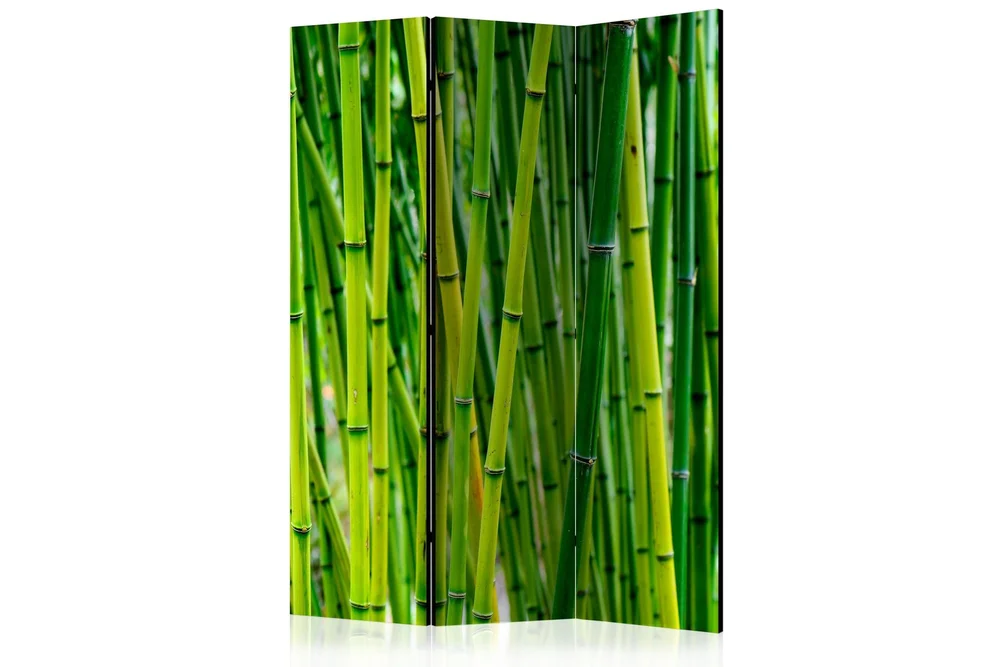 Romdeler Bamboo Forest 135x172 v:2603505