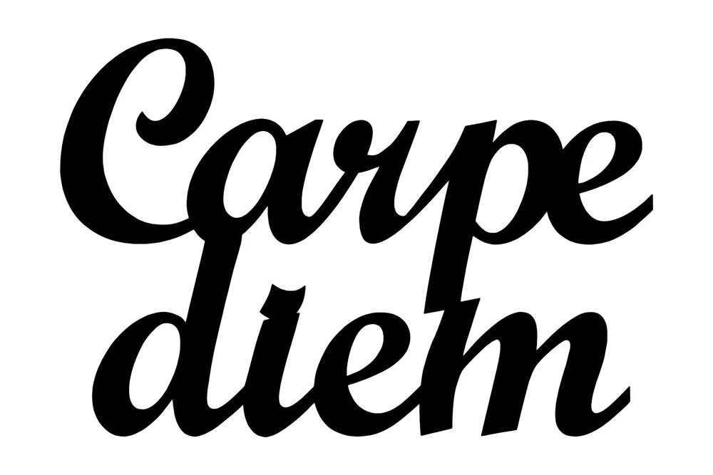 Carpediem 1 Veggdekor v:1316574 Carpediem 1 Veggdekor v:1316574