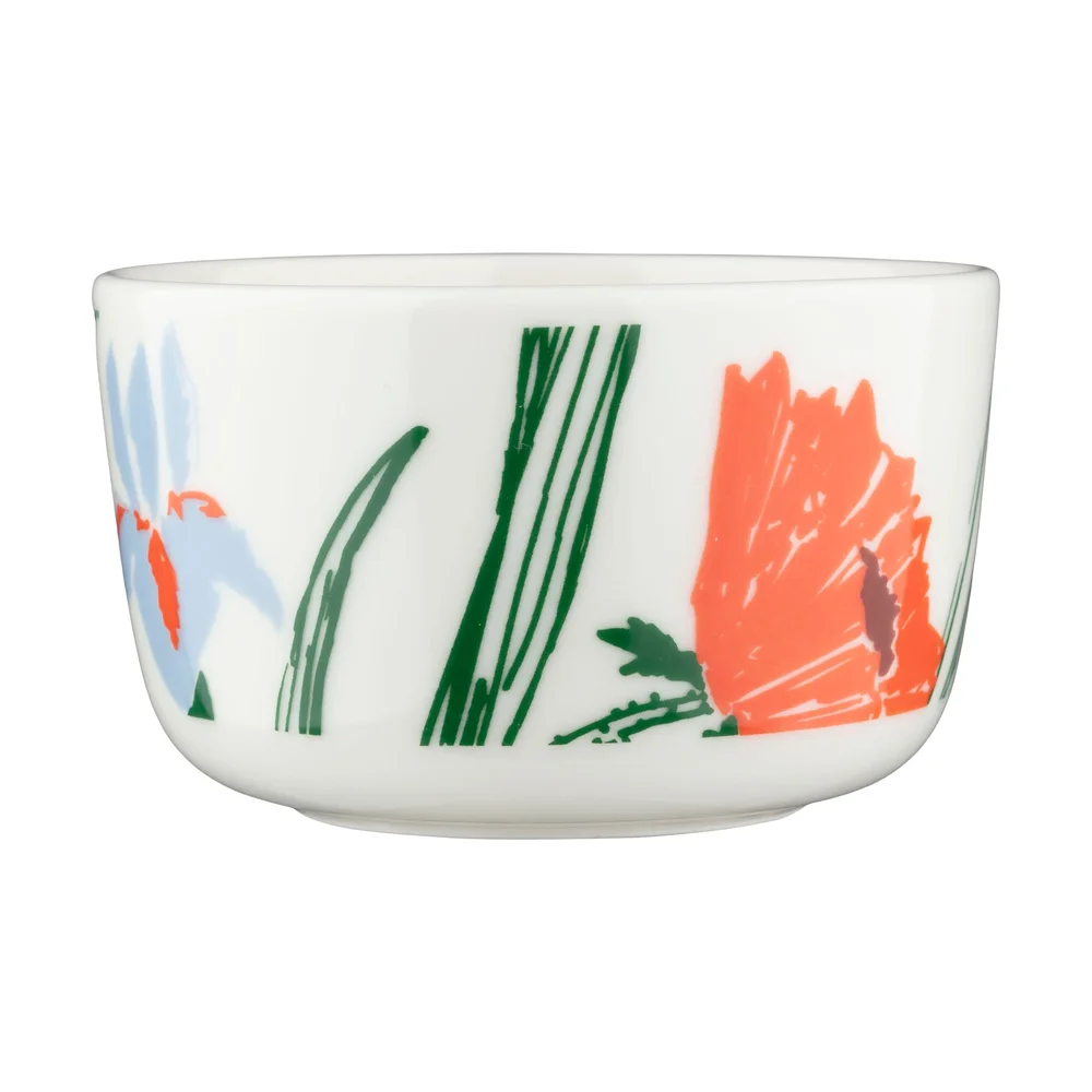 Puutarhakutsut bolle 2 v:8918334