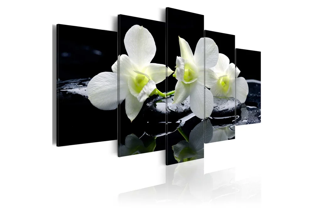 Bilde Melancholic Orchids 100x50 v:5102605